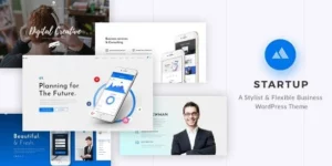 StartUp 2.1破解版主题
