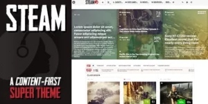 Steam Responsive Retina Review Magazine Theme 1.14破解版主题