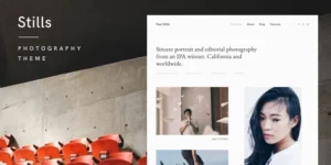 Stills — A Focused WordPress Photography Theme 1.4.3破解版主题
