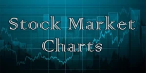 Stock Market Forex Charts | WordPress Plugin 1.6.0破解版插件