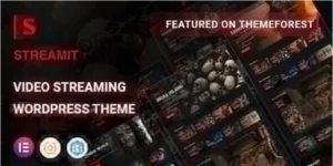 Streamit  | Video Streaming WordPress Theme + RTL 3.2.1破解版主题