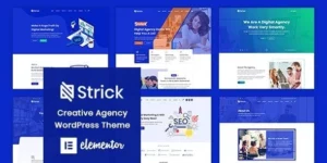 Strick Creative Agency WordPress Theme 1.0.3破解版主题