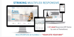 Striking MultiFlex Ecommerce Responsive WP Theme 2.3.8破解版主题