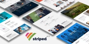 Striped Multipurpose Business and Corporate Theme 2.8破解版主题