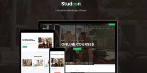 Studeon Education WordPress theme 1.1.9破解版主题