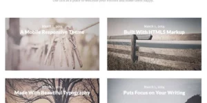 StudioPress Ambiance Pro Theme 1.1.4破解版主题