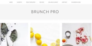 StudioPress Brunch Pro Theme 4.2.0破解版主题