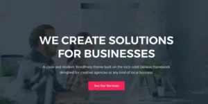StudioPress Business Pro Theme 1.1.0破解版主题