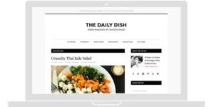 StudioPress Daily Dish Pro Theme 1.1.2破解版主题