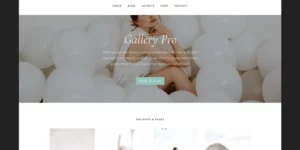 StudioPress Gallery Pro Theme 1.2.0破解版主题