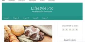 StudioPress Lifestyle Pro Theme 2.0破解版主题