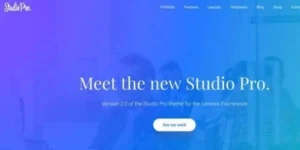 StudioPress Studio Pro Theme 2.3.0破解版主题