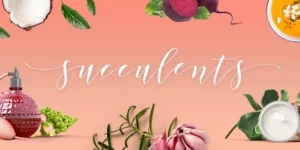 Succulents Healthy Lifestyle and Wellness Theme 1.5破解版主题