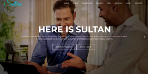 Sultan – One Page Business WordPress Theme 2.1破解版主题