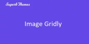 Superb Image Gridly Superb Image Gridly 115.7破解版插件