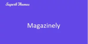 Superb Magazinely 117.4破解版主题
