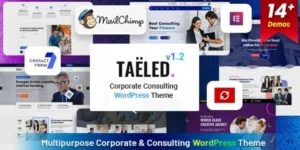 TAELED Business Consulting 1.2破解版主题