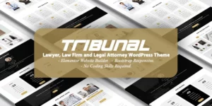 TRIBUNAL Lawyer