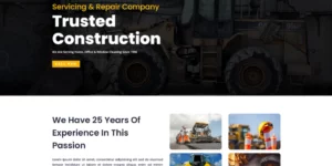 Taran Constrution Divi WordPress theme 1.0破解版主题