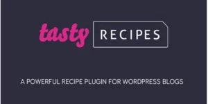 Tasty Recipes – A Powerful WordPress Recipe Plugin for Food Blogs 3.7.3破解版插件