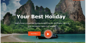 Taval Tour and Travel Booking WordPress Theme 1.0.0破解版主题