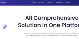 Techogy WordPress für IT-Lösungen 1.0破解版主题