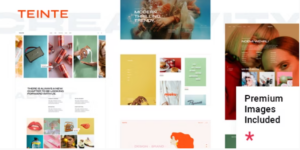 Teinte Creative Portfolio Theme 1.0破解版主题