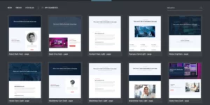 Template Hero Store and Sell Page Template and Block Designs 2.0.4破解版插件