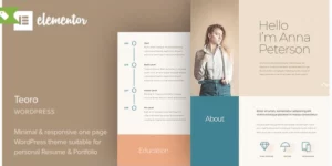 Teoro CV Resume WordPress Theme 1.0破解版主题