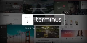 Terminus Responsive Multi-Purpose WordPress Theme 1.4.4破解版主题