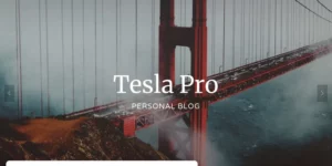 Tesla Pro 1.0.3破解版主题