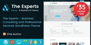 The Experts Business Consulting and Professional Services WordPress Theme 3.2破解版主题
