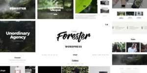 The Forester 1.4.9破解版主题