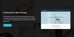 Theme Junkie Agencia 1.0破解版主题