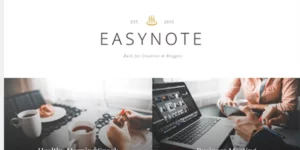 Theme Junkie – EasyNote 1.1.4破解版主题