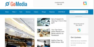 Theme Junkie – GoMedia 1.0.7破解版主题