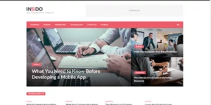 Theme Junkie – Insido 1.0.3破解版主题