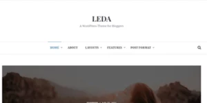 Theme Junkie – Leda 1.0.5破解版主题