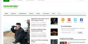 Theme Junkie – Newswire 2.1.1破解版主题