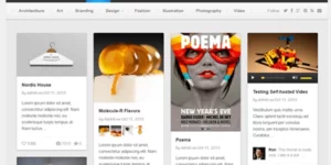 Theme Junkie – Pinable 1.0.6破解版主题