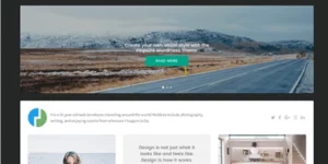 Theme Junkie – Pinpoint 1.0.2破解版主题