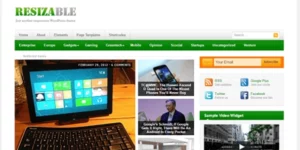 Theme Junkie – Resizable 1.0.6破解版主题