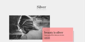 Theme Junkie – Silver 1.0.2破解版主题