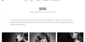 Theme Junkie – Silvia 1.0.9破解版主题