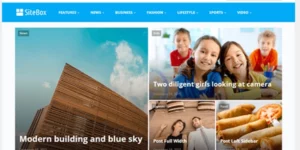 Theme Junkie – SiteBox 1.3.0破解版主题