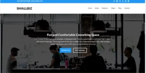 Theme Junkie – Smallbiz 1.0.2破解版主题