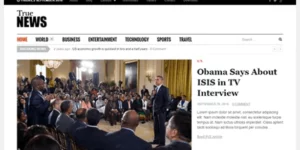 Theme Junkie – TrueNews 1.0.4破解版主题