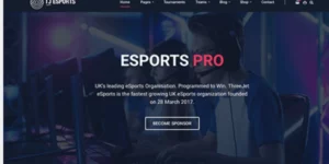 Theme Junkie – eSports Pro 1.0.0破解版主题