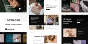 Themebau – Minimal Portfolio Agency WordPress Theme 1.0.0破解版主题