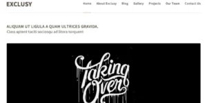 Themes Kingdom Exclusy WordPress Theme 1.8破解版主题